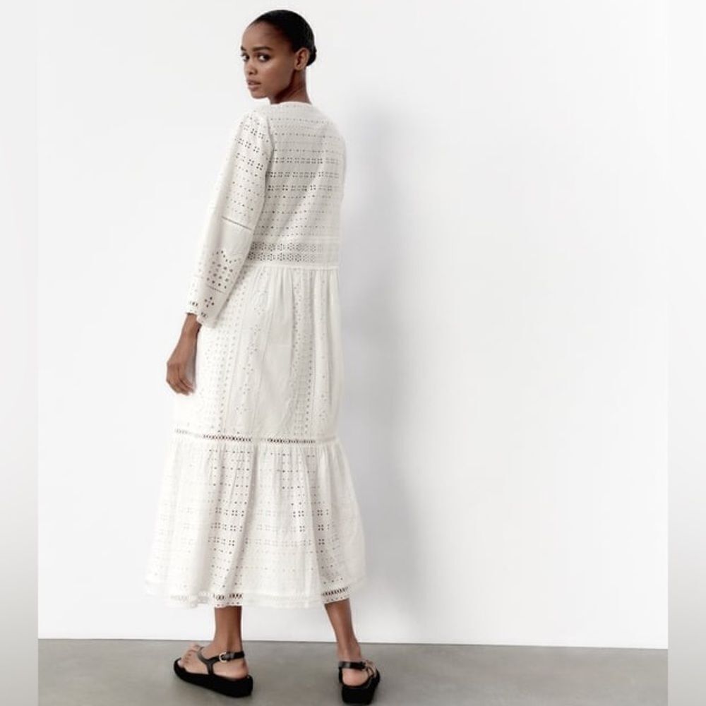 Zara Embroidered Openwork Dress - Picture 4 of 10